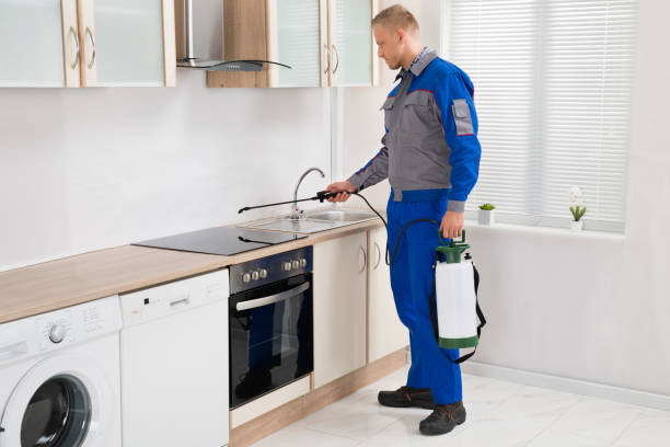 istock Pest Control Worker Spraying Pesticide On Induction Hob 1322669259