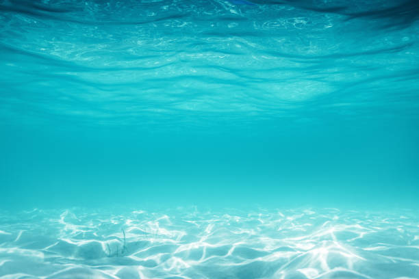 istock Sea sand and blue water. Underwater. ocean background. 1322673264