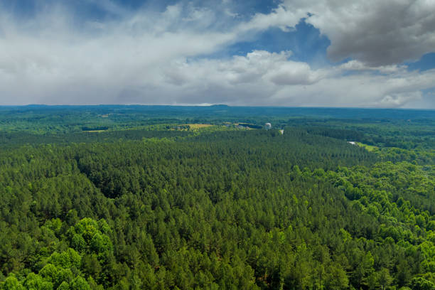 istock Aerial panoramic view on forest in summer nature between by mountains in Campobello, South Carolina 1322675115