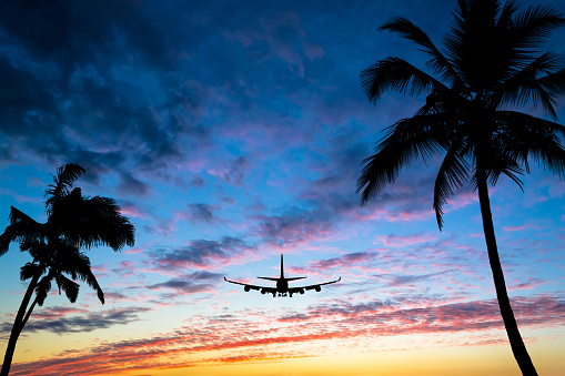 Sunset with silhouettes of palm trees on the sides of the photo and a flying airplane. Vacation, travel concept