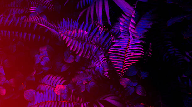 istock Tropical leaf forest glow in the black light background. High contrast. 1322681845