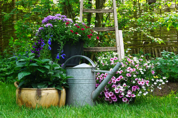 concepto de jardinería. jardín. composición de flores y plantas. imagen de jardinería muy decorativa. - ornamental garden fotografías e imágenes de stock