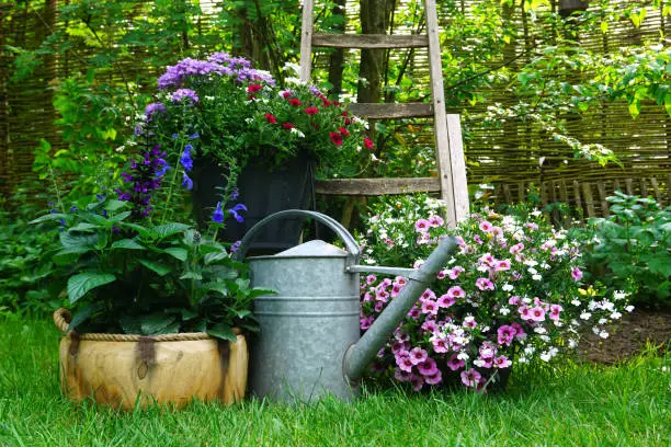 Photo of Gardening Concept. Landscaped Garden. Flowers and Plants composition. very decorative gardening picture.