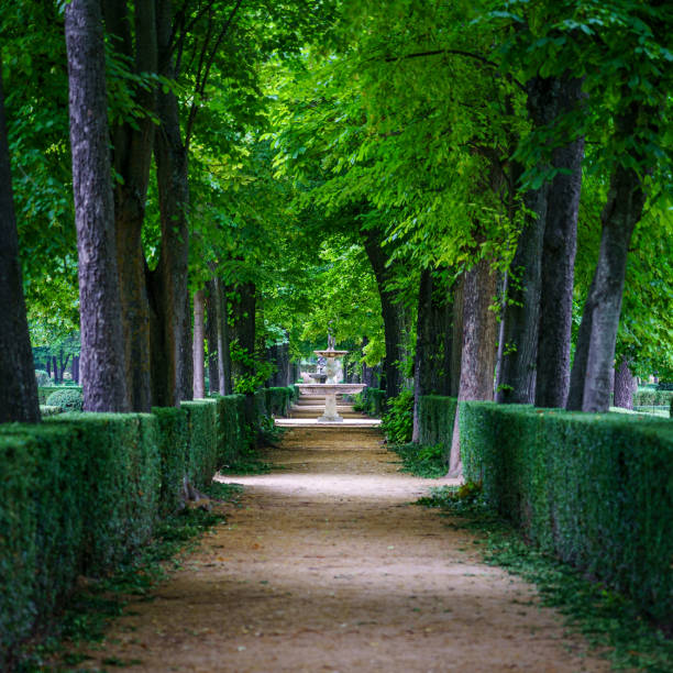 istock Public park with large trees and dirt roads for walking. 1322686055