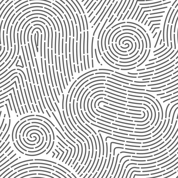 Seamless finger print. Black and white macro pattern. Unique thumbs marks. Personal biometric data. Scanning technology. Police evidence. Vector background with curved lines and curls Seamless finger print. Black and white macro pattern. Unique thumbs marks. Human personal biometric data. Modern scanning technology. Police evidence. Vector background with curved lines and curls fingerprint stock illustrations