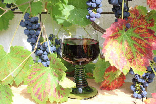 istock wine glass and grapes 1322689870