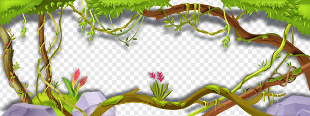 ジャングルリアナベクトルグリーンフレーム、透明な背景に熱帯つる枝のイラスト。 - ivy vine leaf frame点のイラスト素材／クリップアート素材／マンガ素材／アイコン素材