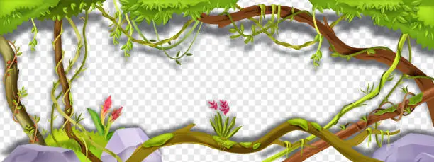 Vector illustration of Jungle liana vector green frame, tropical vine branch illustration on transparent background.