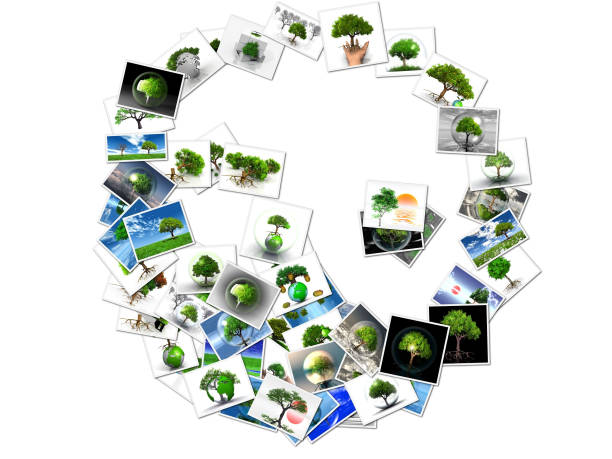 istock ying yang in pictures on a white background 1322690082