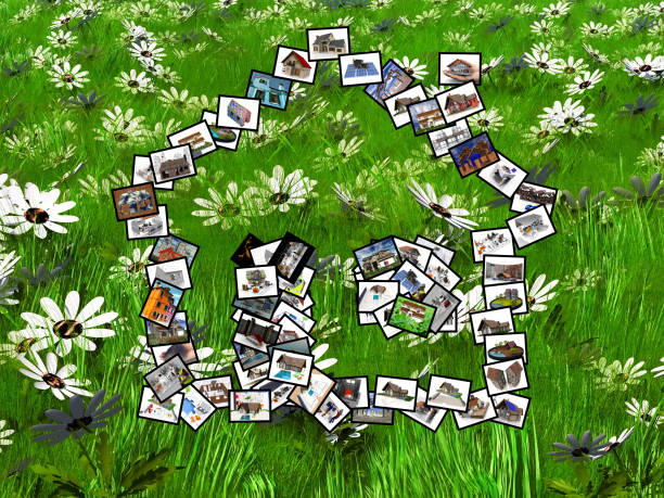 house  pictures in the meadow