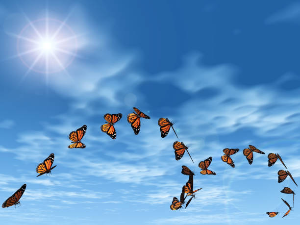 istock the shape of butterflies on blue sky 1322690128