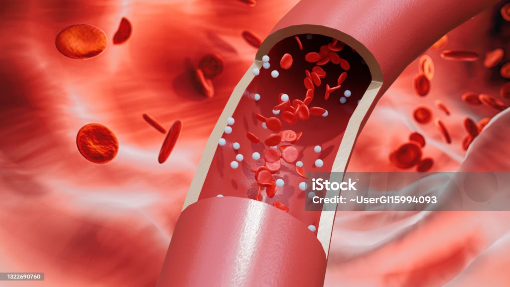 Red blood cells and white blood cells flow through the large blood vessels. State of vascular circulation. 3d render. Blood Vessel Stock Photo