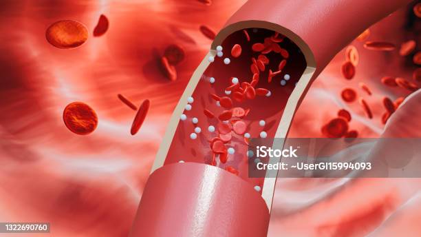 Red Blood Cells And White Blood Cells Flow Through The Large Blood Vessels State Of Vascular Circulation 3d Render Stock Photo - Download Image Now