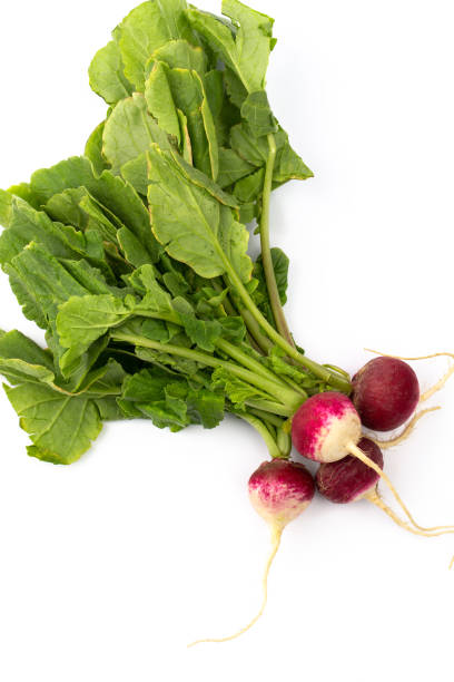 istock Bundle of Radishes on white in studio 1322692993