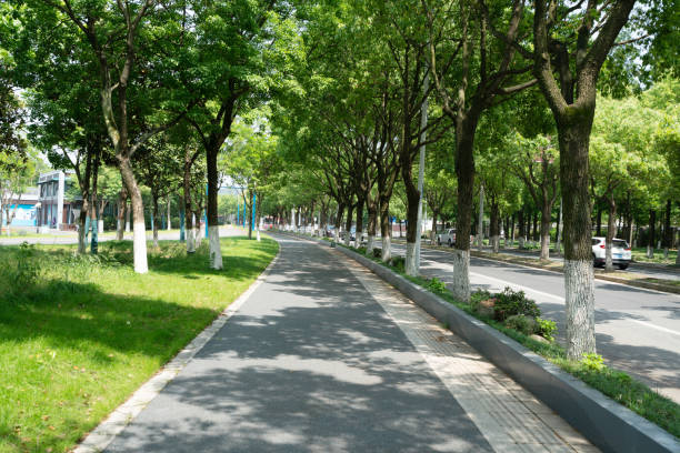 istock The lush trees and highways outdoors 1322694219