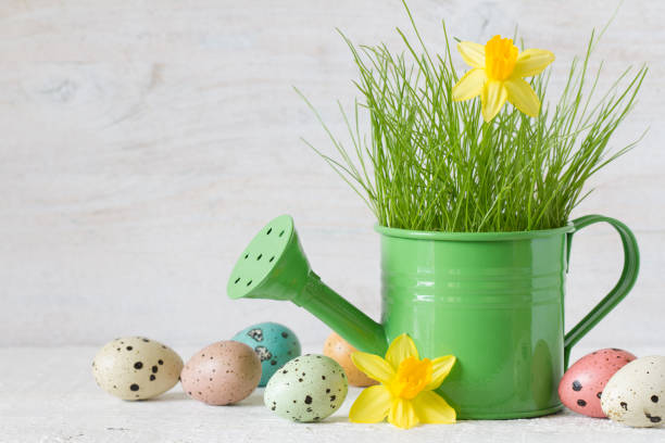 istock Green grass with daffodil in watering can and colored eggs, easter decoration background 1322697529