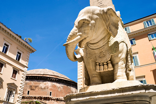 The little elephant of the Egyptian obelisk of Piazza della Minerva, a few steps from the Roman Pantheon. Positioned on the back of an elephant designed by Gian Lorenzo Bernini and sculpted in 1667 by Ercole Ferrata, this obelisk is one of nine Egyptian obelisks in Rome. In the background, the rear side and the dome of the Roman Pantheon. Image in High Definition format.