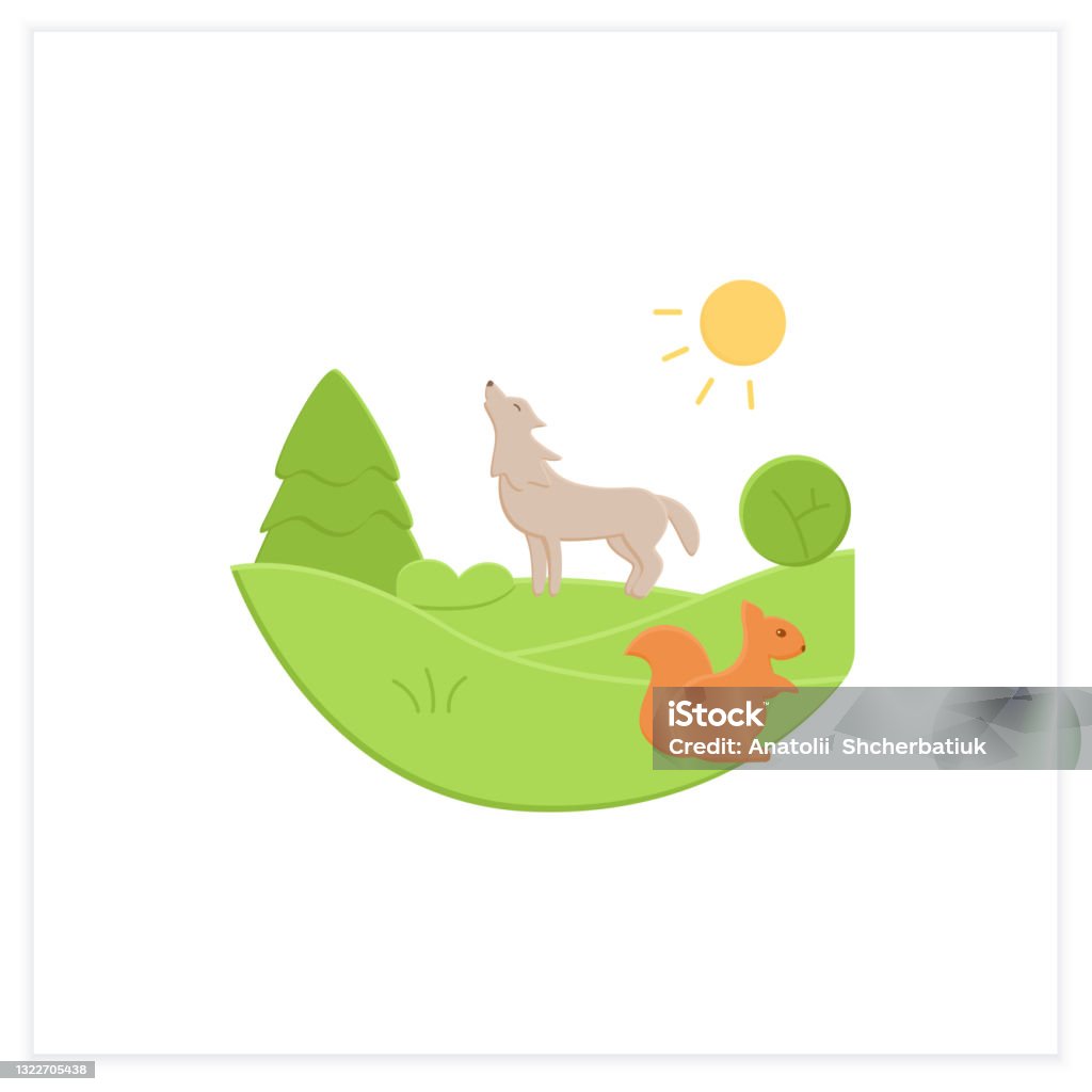 Temperate Forest Flat Icon Stock Illustration - Download Image Now - Animal,  Animal Wildlife, Animals In The Wild - iStock