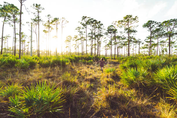 istock Child playing outdoors in wilderness area 1322705546