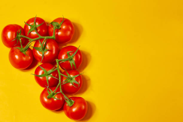 istock red organic tomatoes on a green branch on a yellow background 1322706917