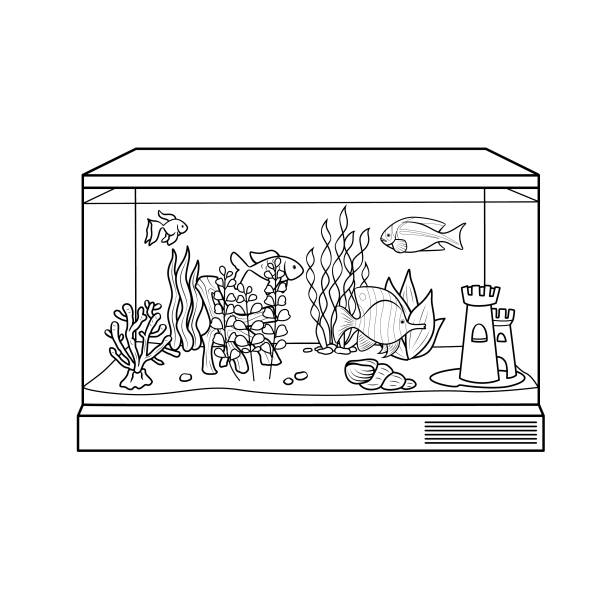 czarno-biały akwarium lub akwarium obrazy kreskówek dla dzieci jest to ilustracja wektorowa dla przedszkola i szkolenia domu dla rodziców i nauczycieli. - fish tank stock illustrations