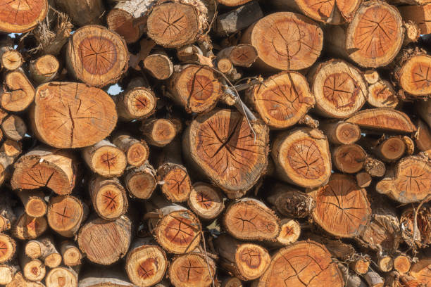 istock Stacking firewood for residential use. Rural landscape. Winter preparation 1322708729