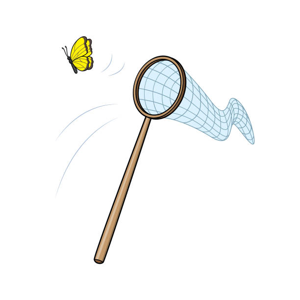 Cartoon Insect Net For Kids Which Is A Vector Illustration For