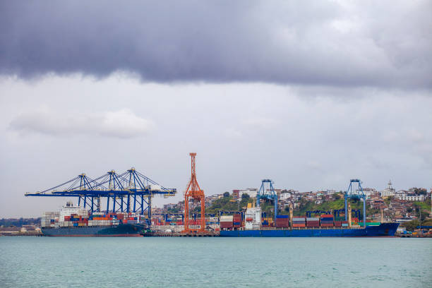 istock Salvador´s Port 1322713907