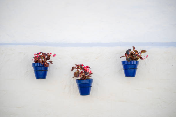 Pot with flowers hanging on a wall of a street in Mijas
