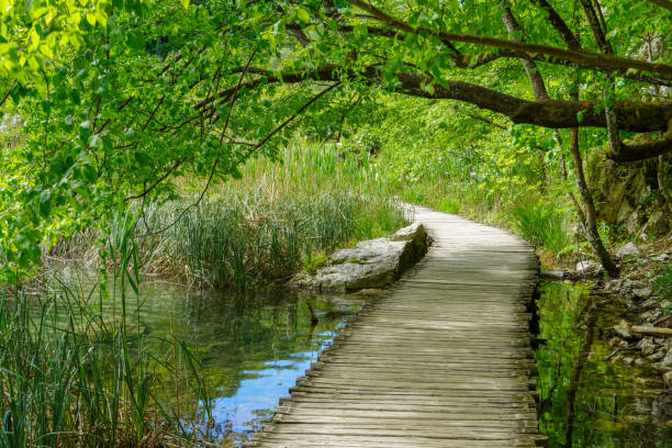 istock Plitvice Lakes, Croatia - a UNESCO World Heritage Site. 1322717718