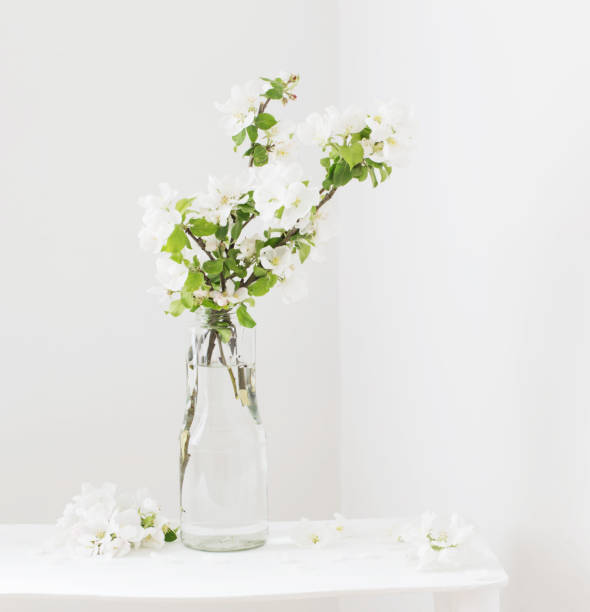 istock apple flowers in glass vase in white interior 1322718240