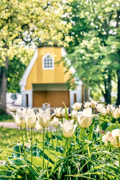 istock Summer city, Sigtuna 1322718281