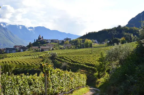 Beautiful landscape around Tramin in South Tyrol