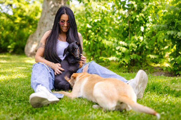 istock In Park With Dogs 1322721612
