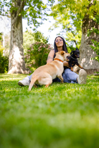 istock In Park With Dogs 1322721653