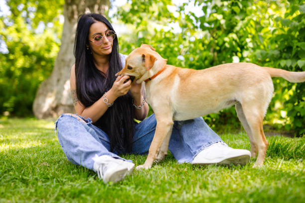istock In Park With Dogs 1322721694