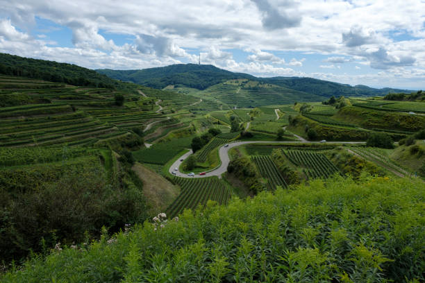istock Serpentine road in Kaiserstuhl Vineyards, Germany 1322723722