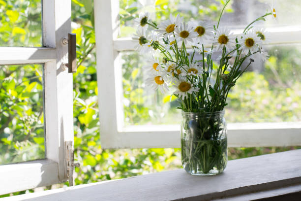istock Bouquet of daisies in  jar on windowsill 1322725410