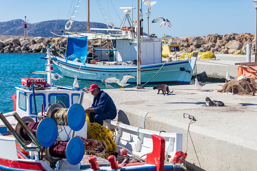 Greece. Koufonisi island, Cyclades, May 23, 2021. after fishing scene at harbour dock. Fisherman working with the nets on a moored boat, seagulls looking for food, cats watching, blue sky background