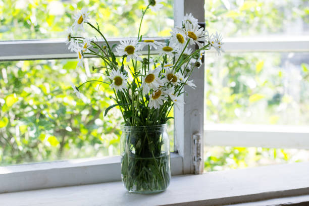 istock Bouquet of daisies 1322725423