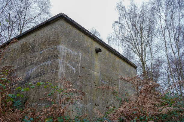 istock Old abandoned concrete building in woodland 1322728412