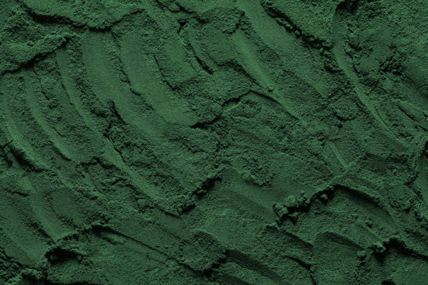 모래 내추럴 텍스처. 디지털 벽 디자인을위한 추상 녹색. - chlorella 뉴스 사진 이미지