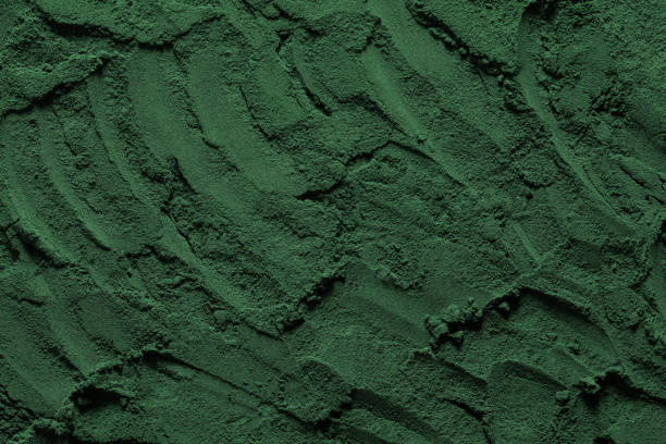 istock Sand Natural Texture. Abstract green, for digital wall design. 1322728988