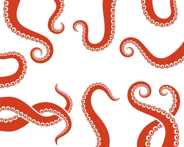 illustrazioni stock, clip art, cartoni animati e icone di tendenza di tentacoli di polpo. tentacoli di polpo isolati su sfondo bianco - tentacle