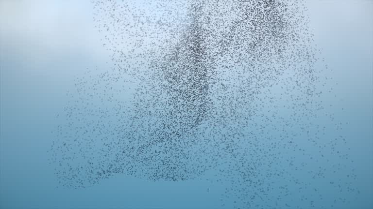 Flying Birds in Formation - Large Swarm of Starlings in the Sky