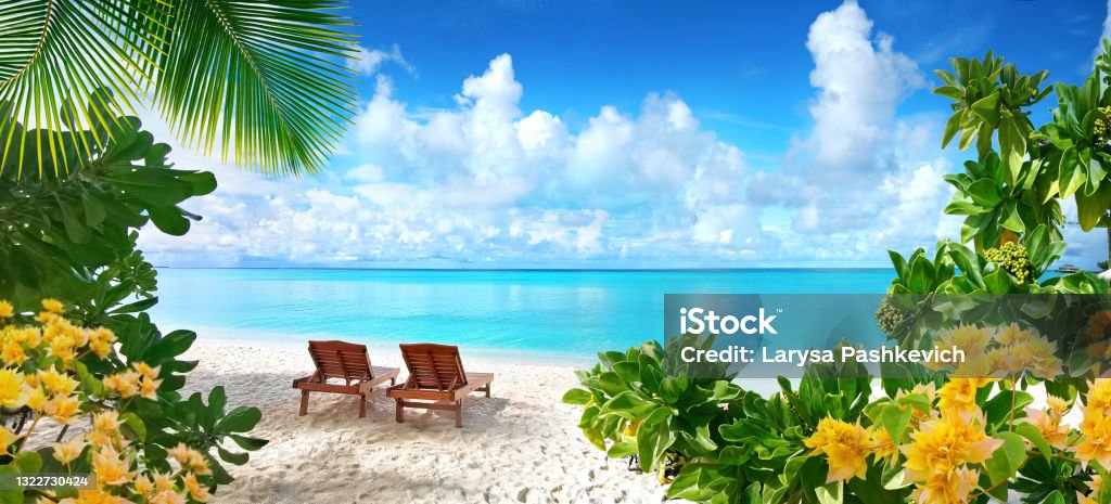 Beautiful tropical beach with white sand and two sun loungers on background of turquoise ocean and blue sky with clouds. Beautiful tropical beach with white sand and two sun loungers on background of turquoise ocean and blue sky with clouds. Frame of palm leaves and flowers. Perfect landscape for relaxing vacation. Caribbean Stock Photo