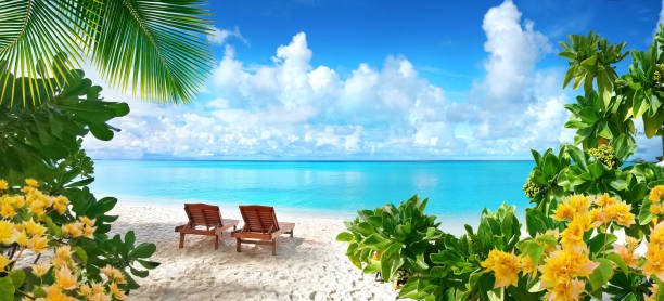 Beautiful tropical beach with white sand and two sun loungers on background of turquoise ocean and blue sky with clouds. Beautiful tropical beach with white sand and two sun loungers on background of turquoise ocean and blue sky with clouds. Frame of palm leaves and flowers. Perfect landscape for relaxing vacation. caribbean stock pictures, royalty-free photos & images