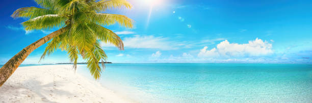 istock Beautiful tropical beach with white sand, turquoise ocean on background blue sky with clouds on sunny summer day. 1322731275