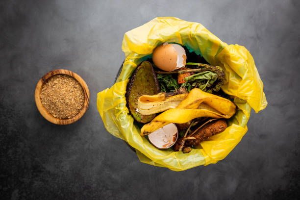 istock Organic food wastes 1322731405