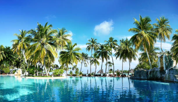 istock Beautiful lush tropical palm trees against blue sky with white clouds are reflected in turquoise textured wavy water on sunny day. 1322731512